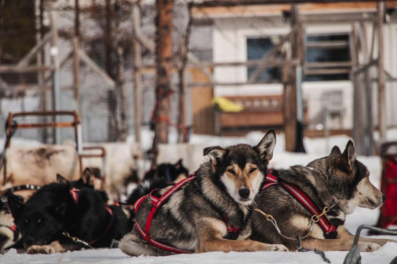 Máttaráhkká Northern Light Lodge Kiruna község Kültér fotó